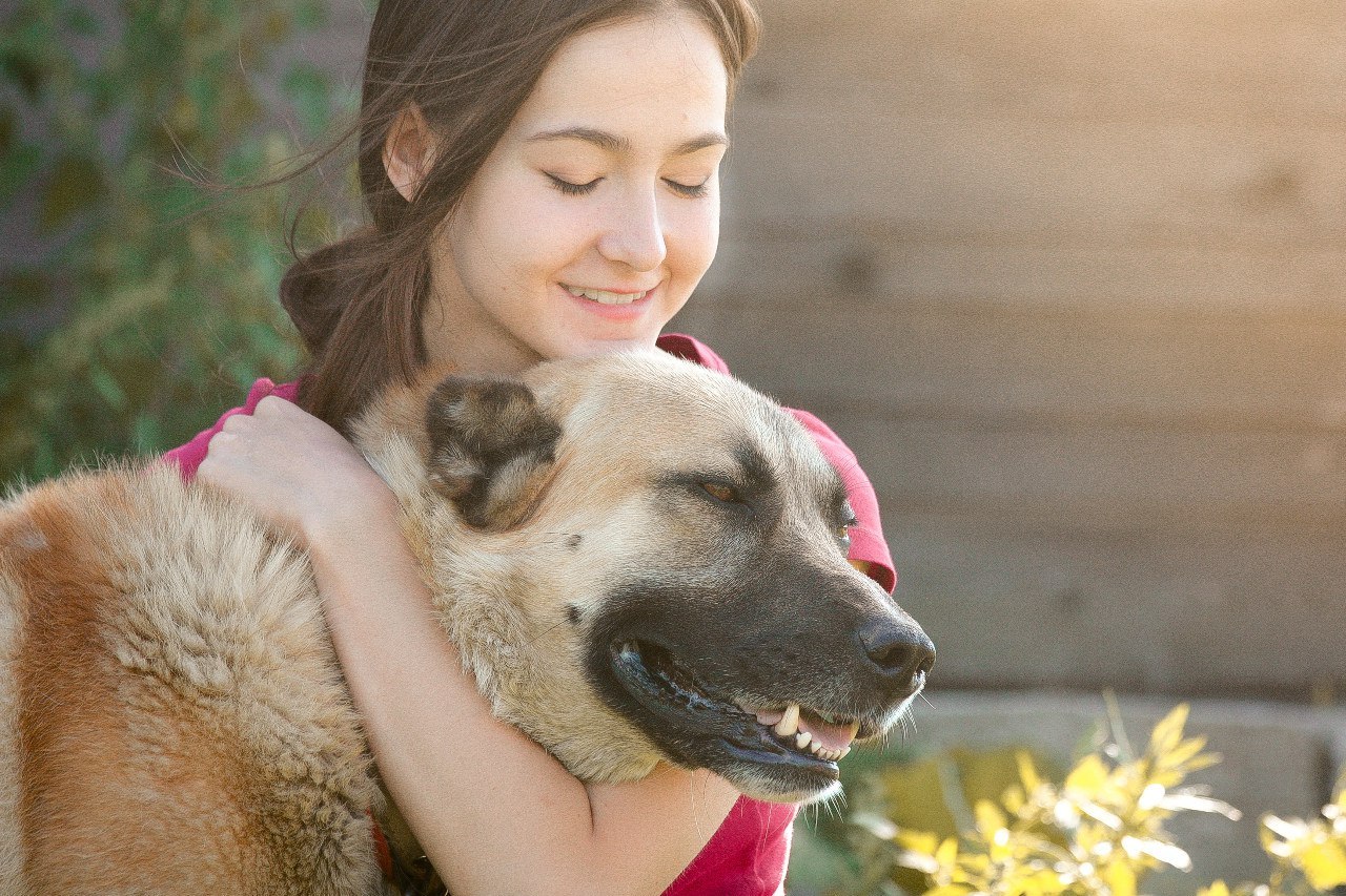 Shelter Sawmill. - My, Magic, Kindness, Dog, cat, Longpost