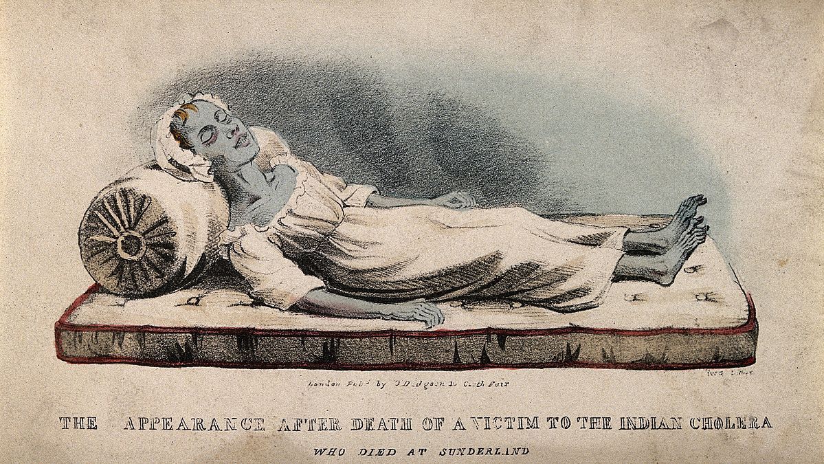 Cholera - the plague of the 19th century - Longpost, Epidemic, 19th century, Cholera, History of medicine, My