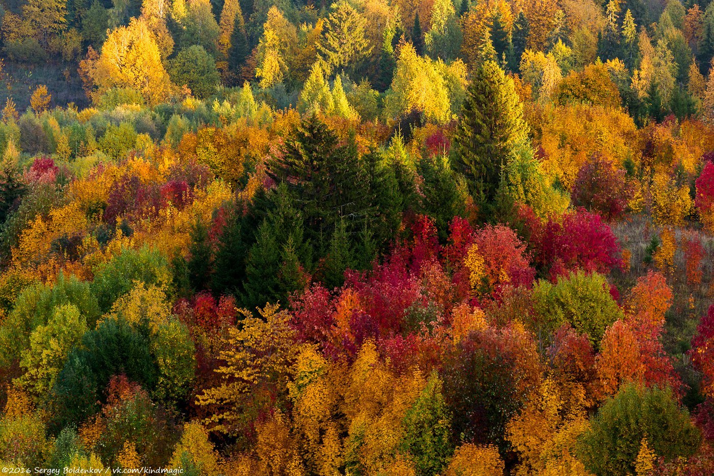 Autumn on Belaya Gora in the Perm Territory - Autumn, The photo, Nature, Permian, Russia, Longpost