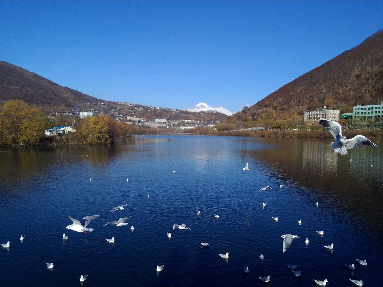 Late autumn in Petropavlovsk-Kamchatsky and surroundings - My, Kamchatka, Petropavlovsk-Kamchatsky, Photo, Travels, Autumn, Longpost