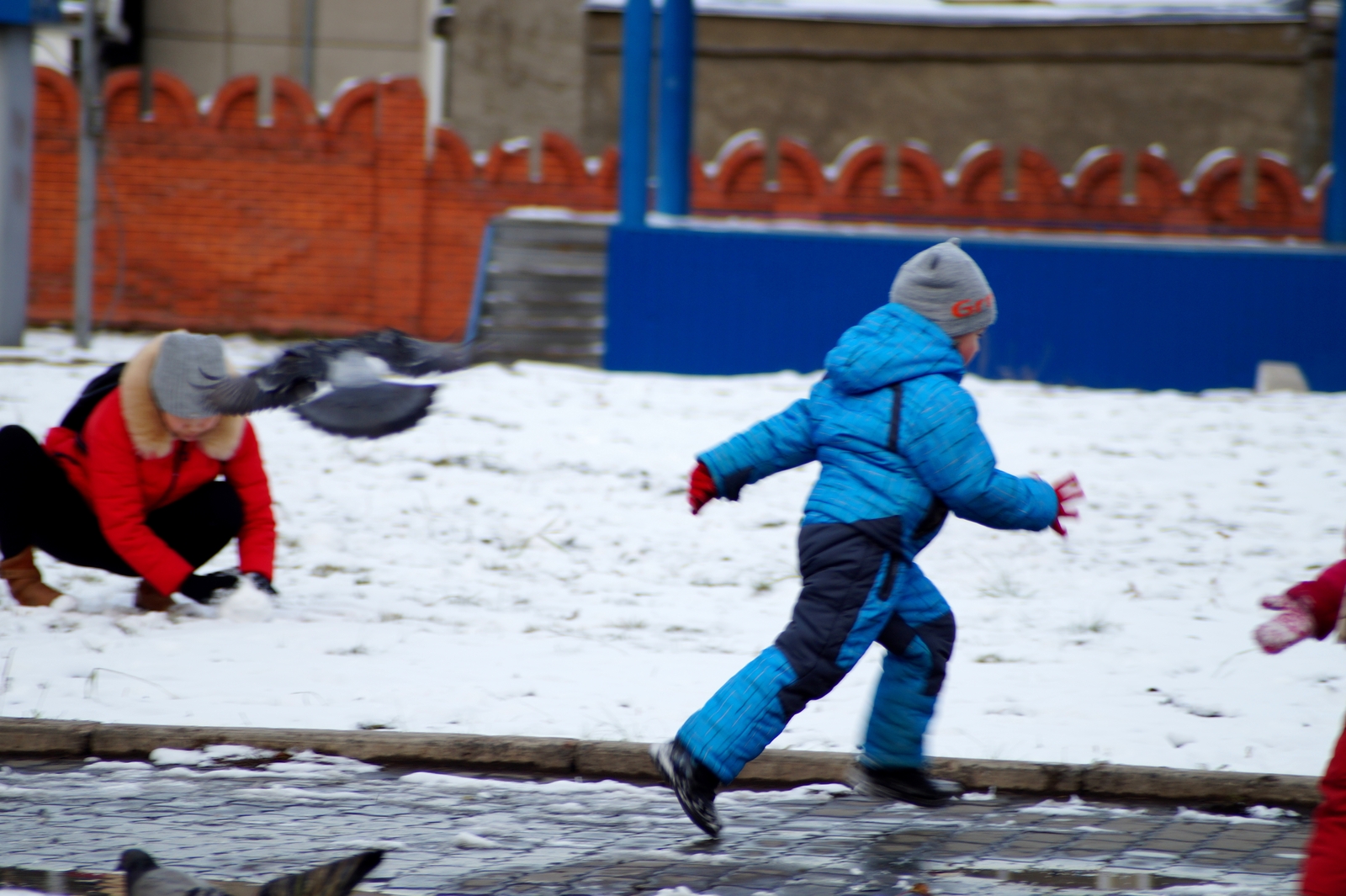 Прогулка по городу - Моё, Город, Прогулка, Осень, Снег, Красноярск, Длиннопост