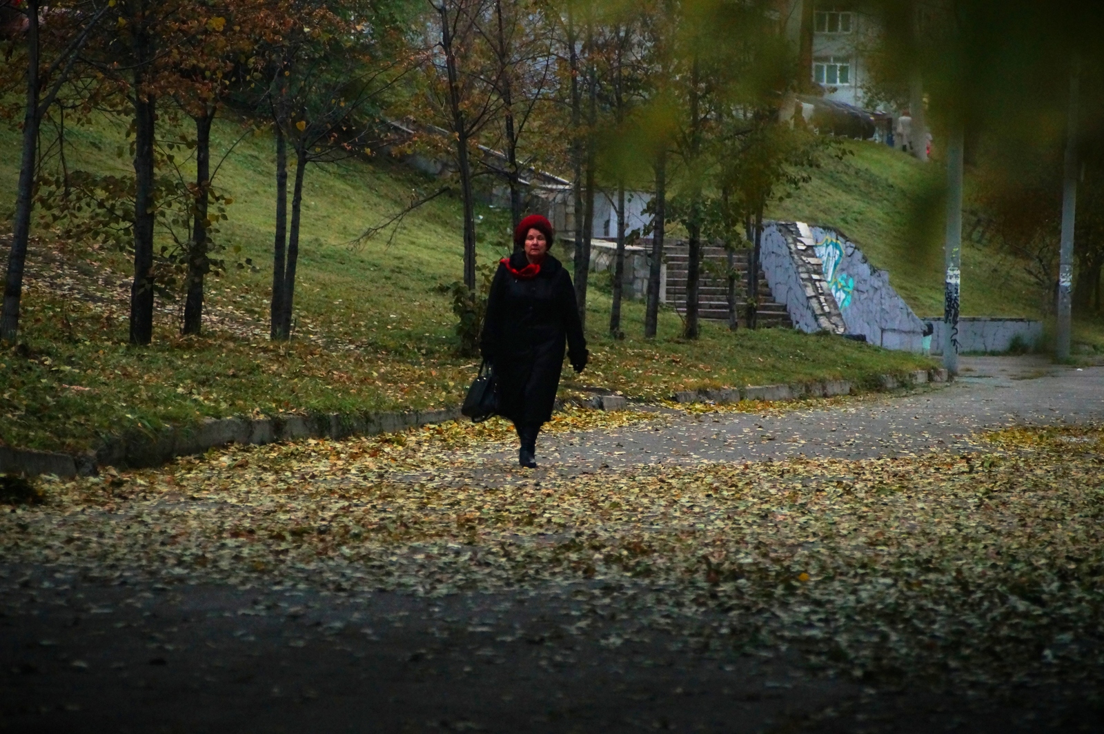 City walk - My, Town, Walk, Autumn, Snow, Krasnoyarsk, Longpost