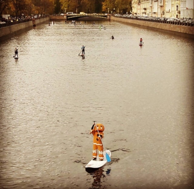 bees and cookies - Saint Petersburg, Sup, Surfing, SUPsurfing