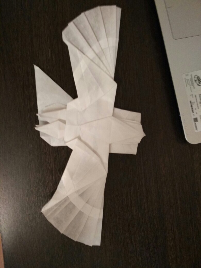 Eagle. - My, Eagle, Origami, Shaping, Calque, Longpost