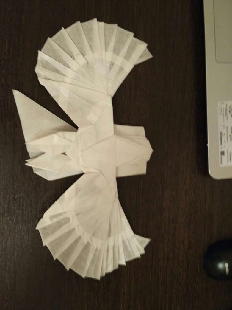 Eagle. - My, Eagle, Origami, Shaping, Calque, Longpost