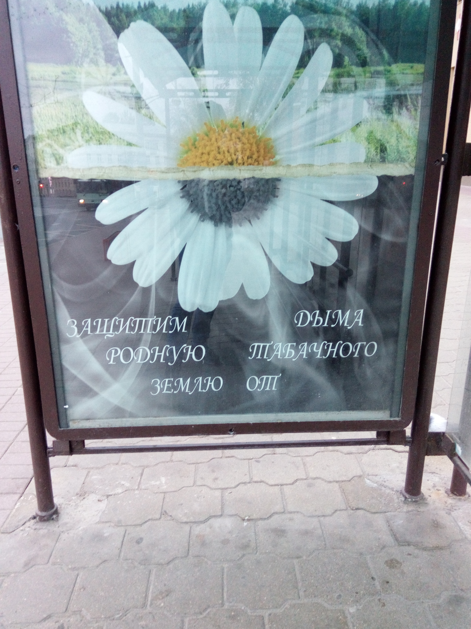 What did the author of social advertising smoke in Minsk? - Minsk, Stop, Mindflow