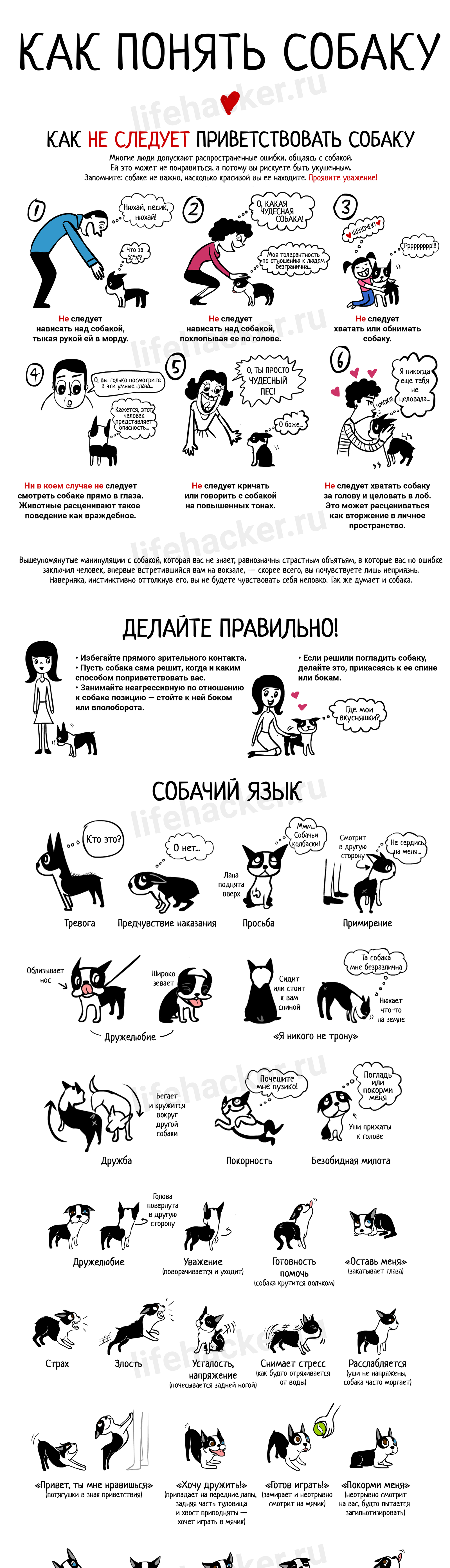 How to understand dogs - Infographics, Dog, Pets, Longpost