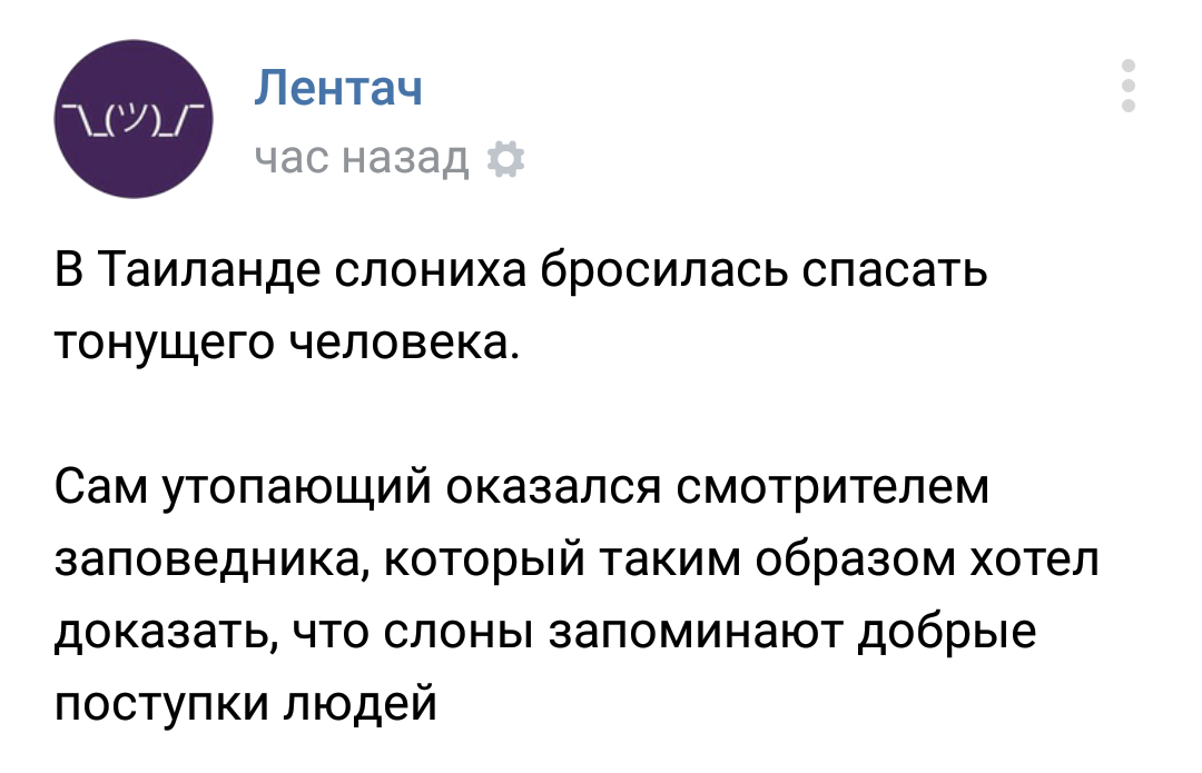 Социальный эксперимент на равнодушие. - Слоны, Пранк, Лентач, Комментарии, Видео