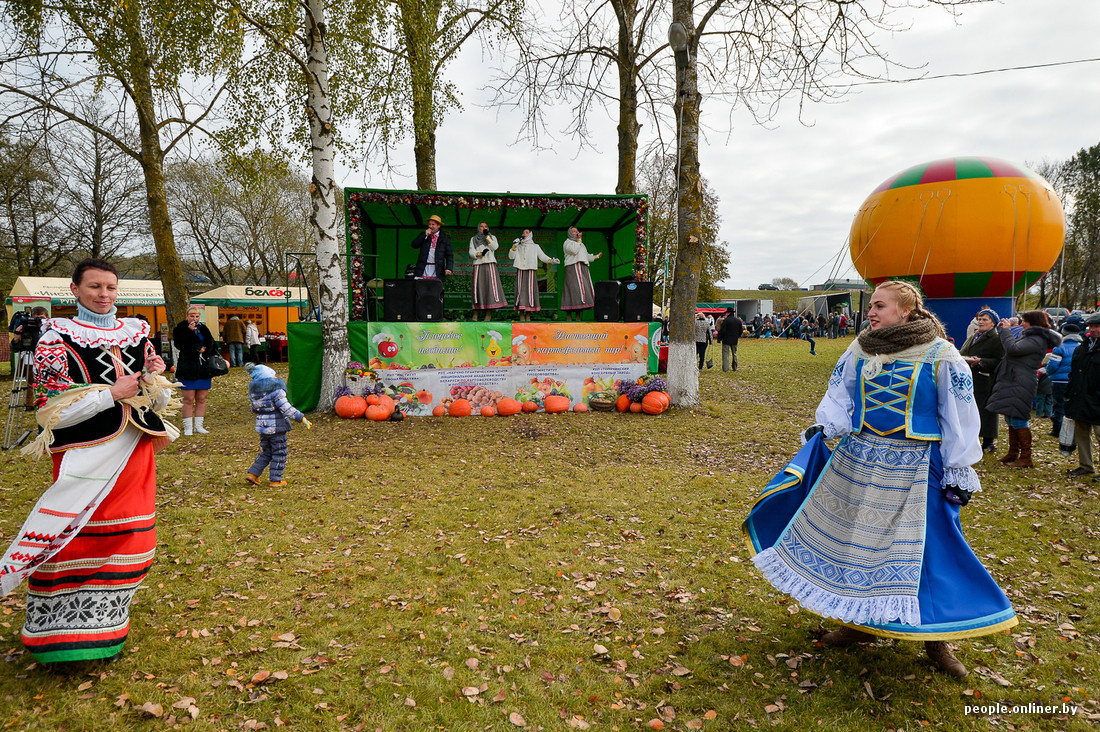 Potato holiday in Belarus - Potato, Republic of Belarus, Holidays, Food, Longpost