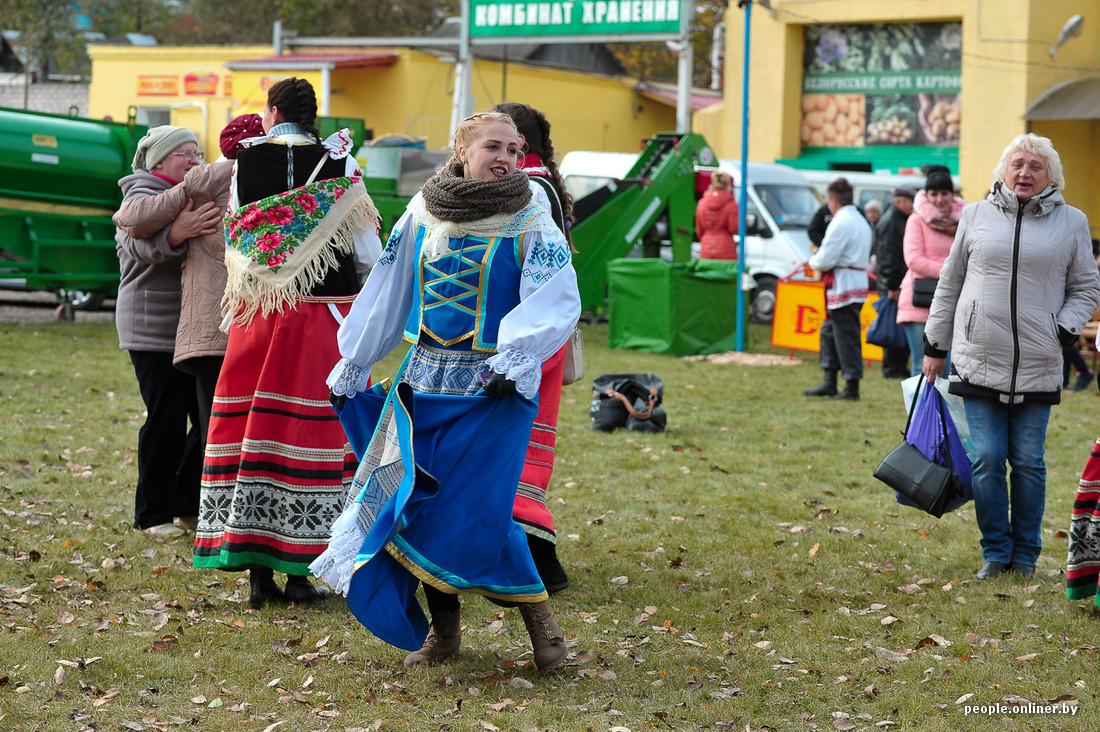 Potato holiday in Belarus - Potato, Republic of Belarus, Holidays, Food, Longpost