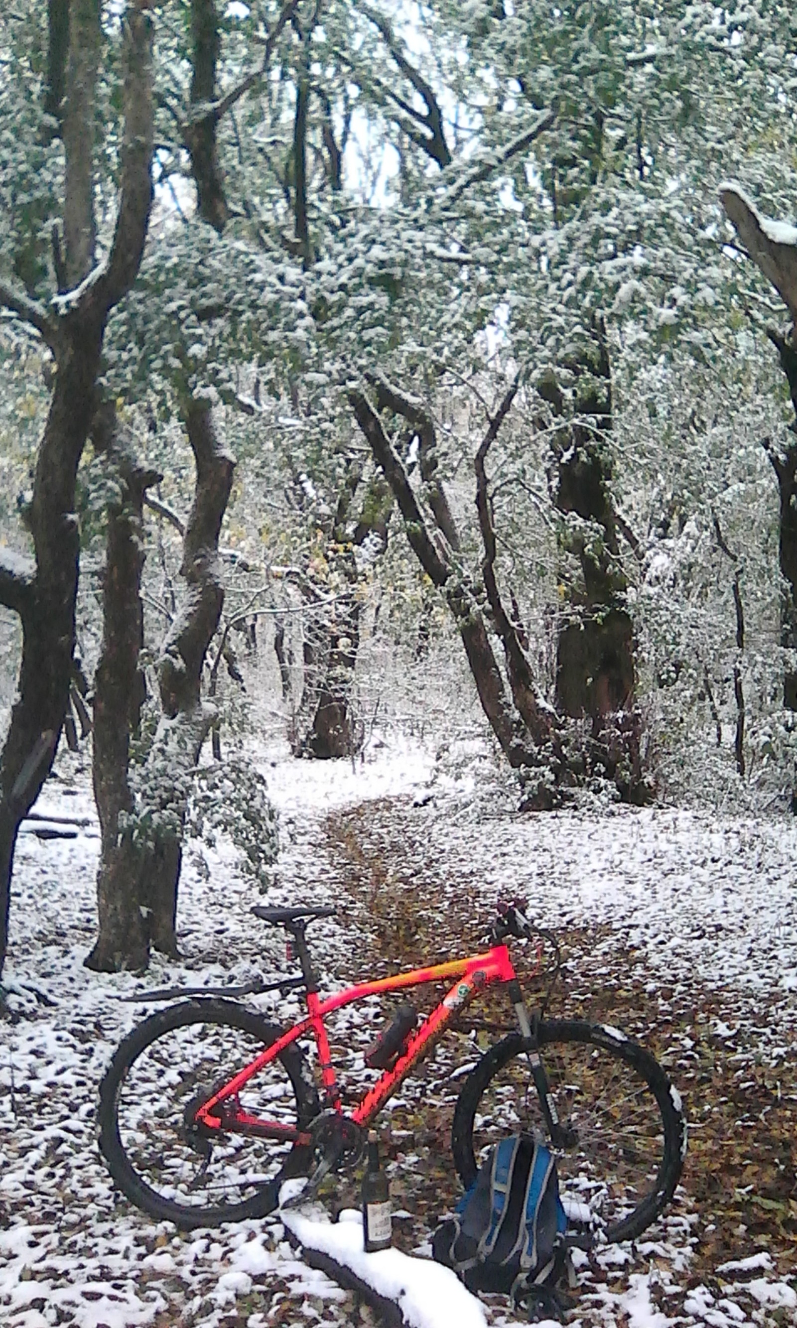 First snow. - My, A bike, Snow, Longpost