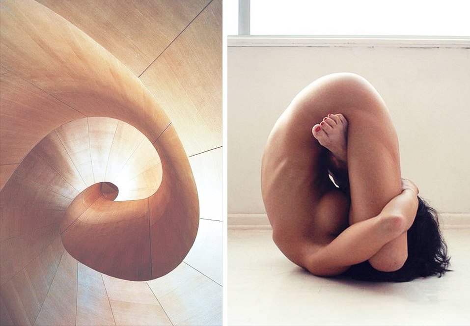 Parallels between female beauty and architecture - Art, Architecture, Talent, Amazing, Longpost, Girls