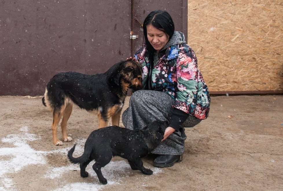 A resident of Astana gave the mansion as a shelter for 280 animals (continued) - Kindness, cat, cat house, Photo, Longpost, Kazakhstan, Dog