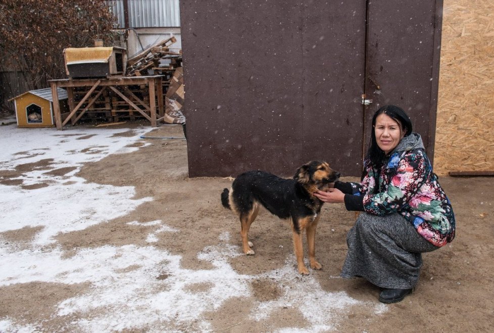 A resident of Astana gave the mansion as a shelter for 280 animals (continued) - Kindness, cat, cat house, Photo, Longpost, Kazakhstan, Dog