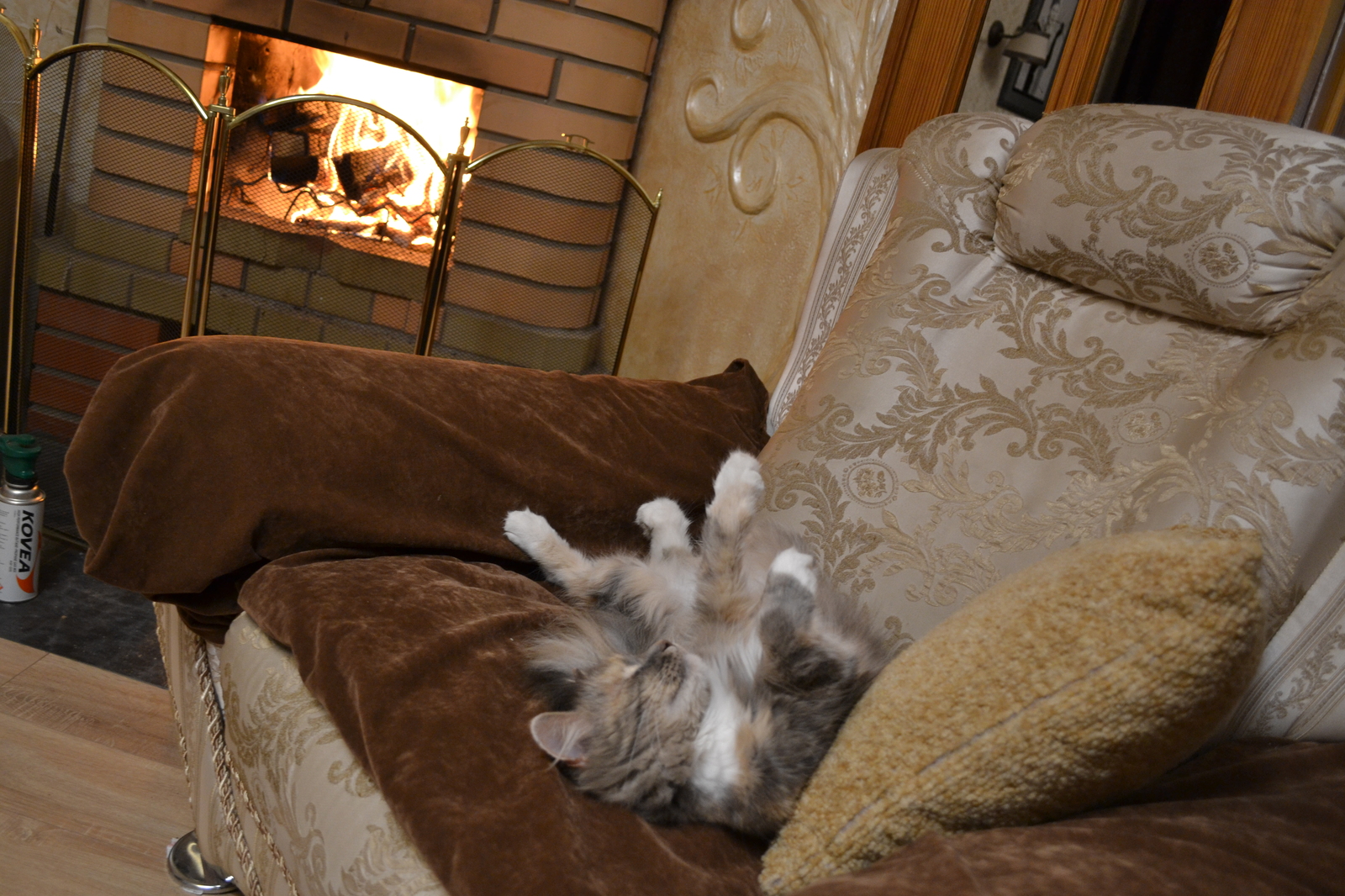 By the fireplace - My, cat, Fireplace, Heat