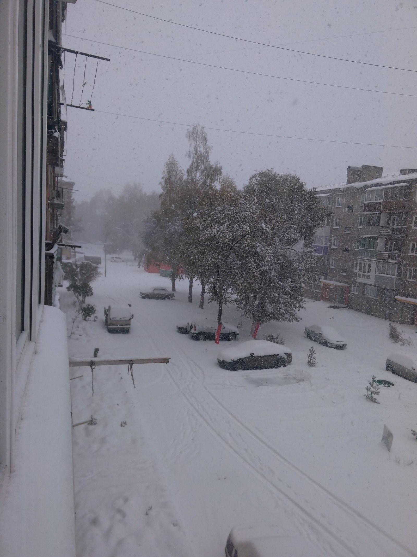 We have a bit of winter. - My, Winter, Snow, Siberia, Longpost