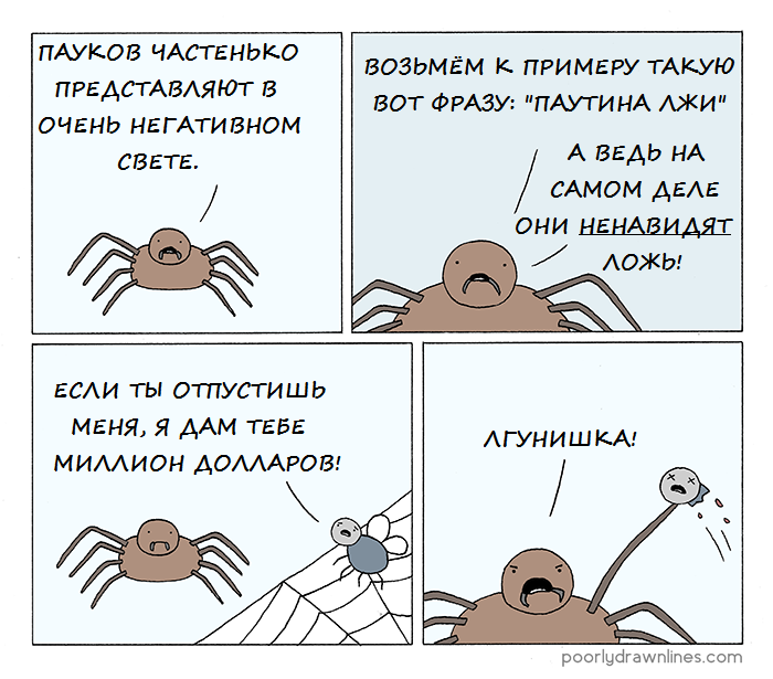 Паук читай. Приколы про пауков. Шутки про пауков. Прикол «паук». Смешные шутки про пауков.