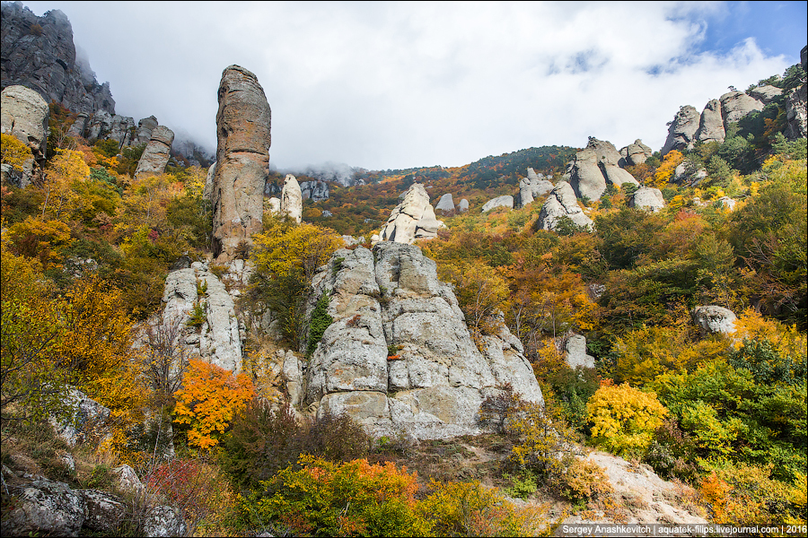 То, ради чего осенью стоит ехать в Крым - Крым, Осень, Демерджи, Сергей Анашкевич, Длиннопост