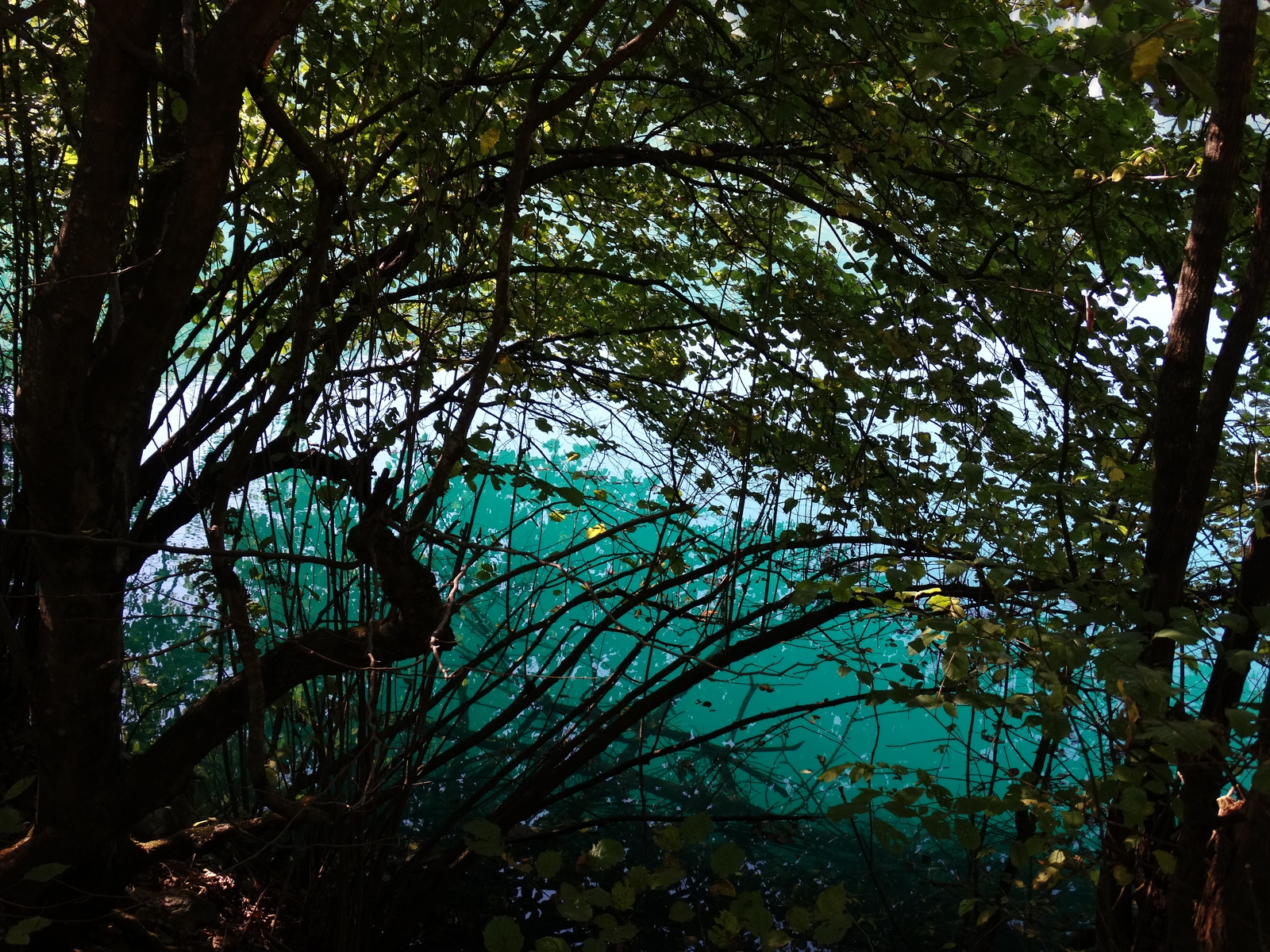 Photo post - CBD. - My, Excursion, Blue Lake, Kabardino-Balkaria, Travel across Russia, Lake, , My, Longpost