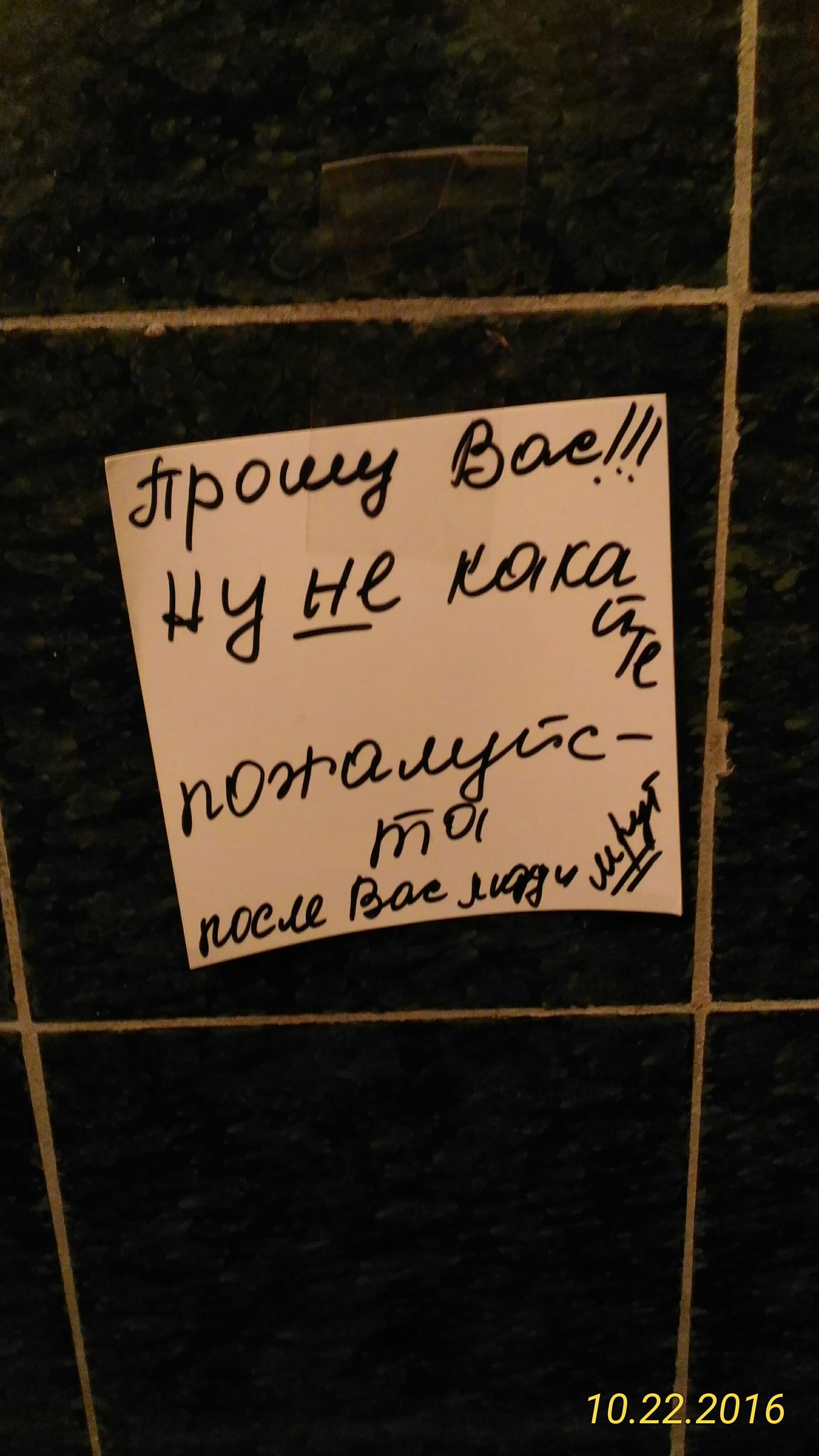 In the toilet - My, Inscription, Toilet, 