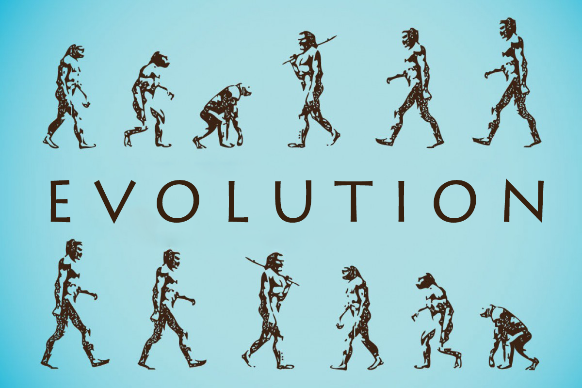 Man and Evolution. - My, Anthropology, Interesting, The science, Genetics, Person, Evolution, A life, Longpost