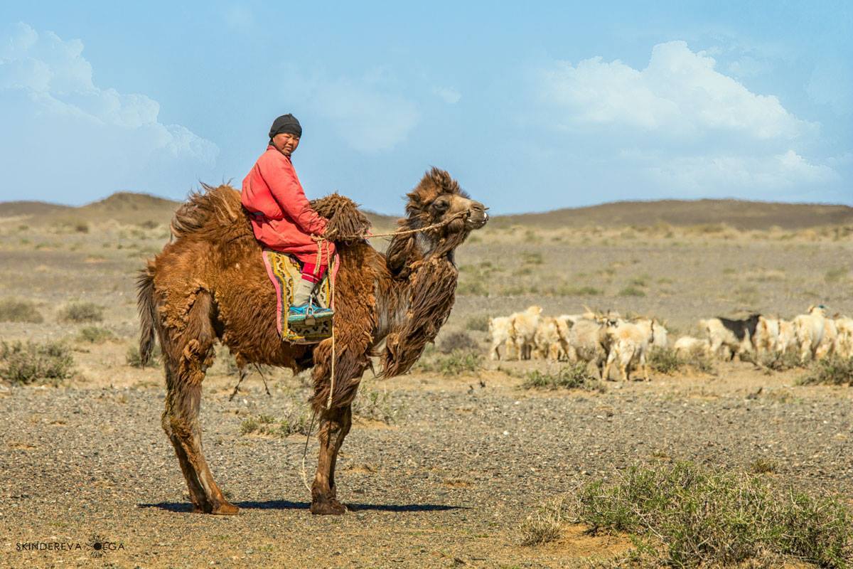 It's good to be Mongolian - Mongolia, Peace to the world!, Photo, Love does not love, Chain reaction, Zen