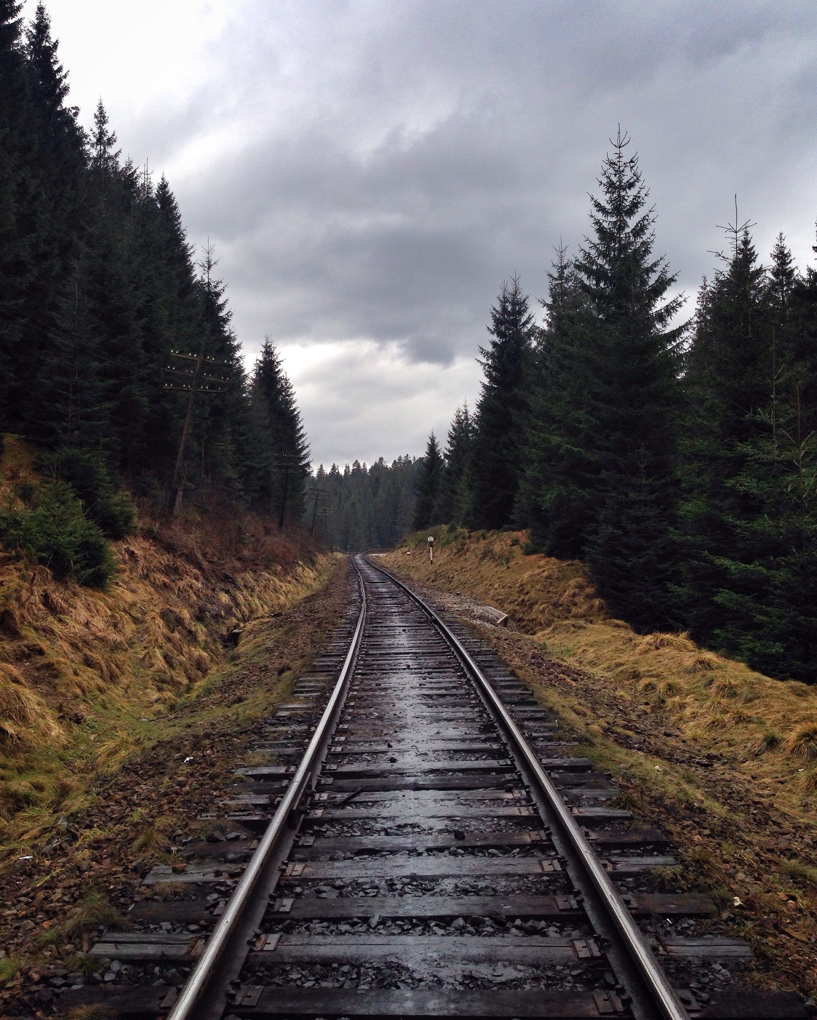 Do you love the railroad as much as I do? - My, Photo, A train, Railway, Longpost