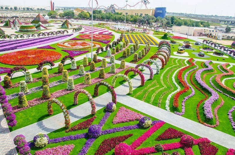 Flower Miracle Park in Dubai - Dubai, Flowers, The park, Longpost