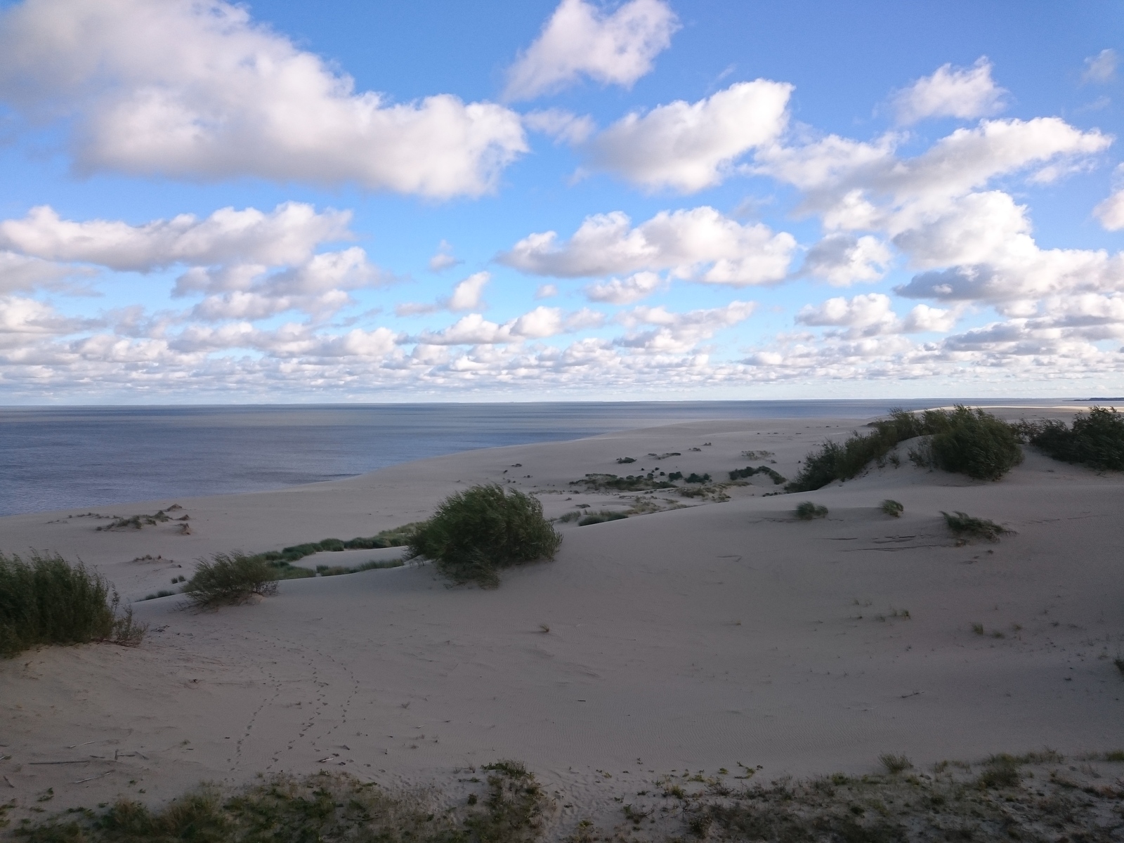 On the Curonian Spit - My, Curonian Spit, Zelenogradsk, The nature of Russia, Longpost