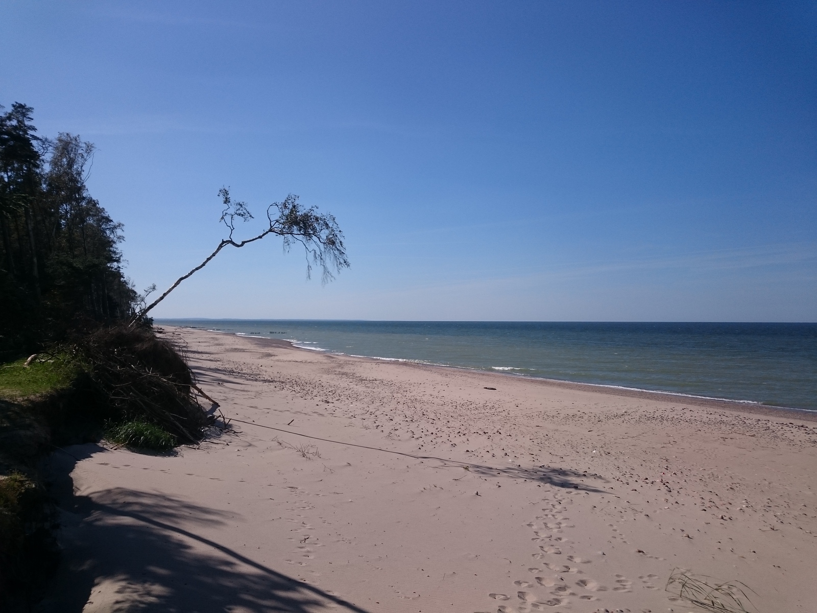 On the Curonian Spit - My, Curonian Spit, Zelenogradsk, The nature of Russia, Longpost