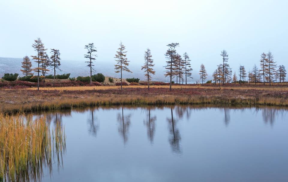 Autumn in Kolyma - Kolyma, Autumn, Russia, Nature, Landscape, Photo, The photo, Gotta go, Longpost