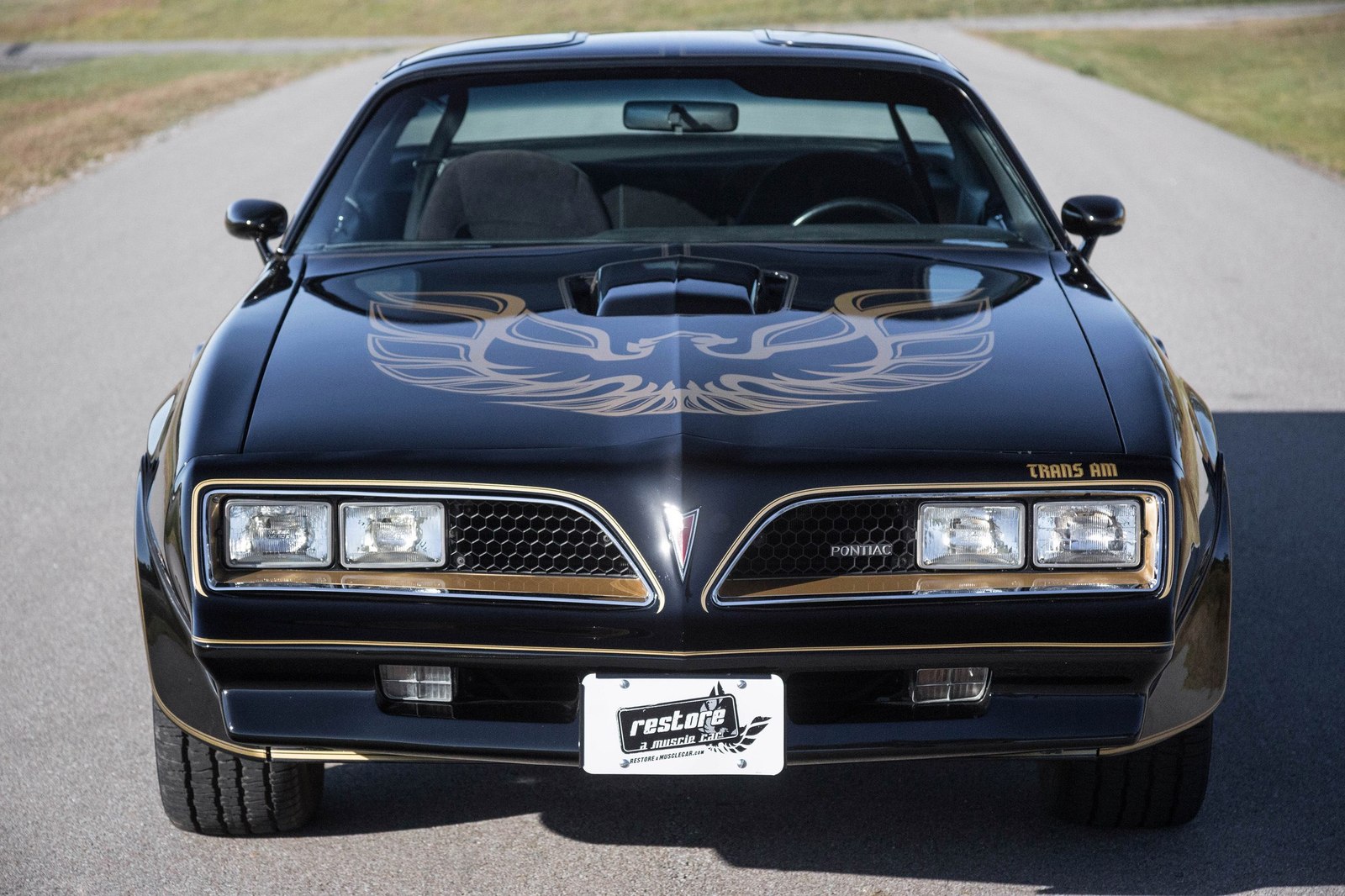 Muscle Cars - Pontiac, Auto, Photo, Dodge, Chevrolet, Longpost, 