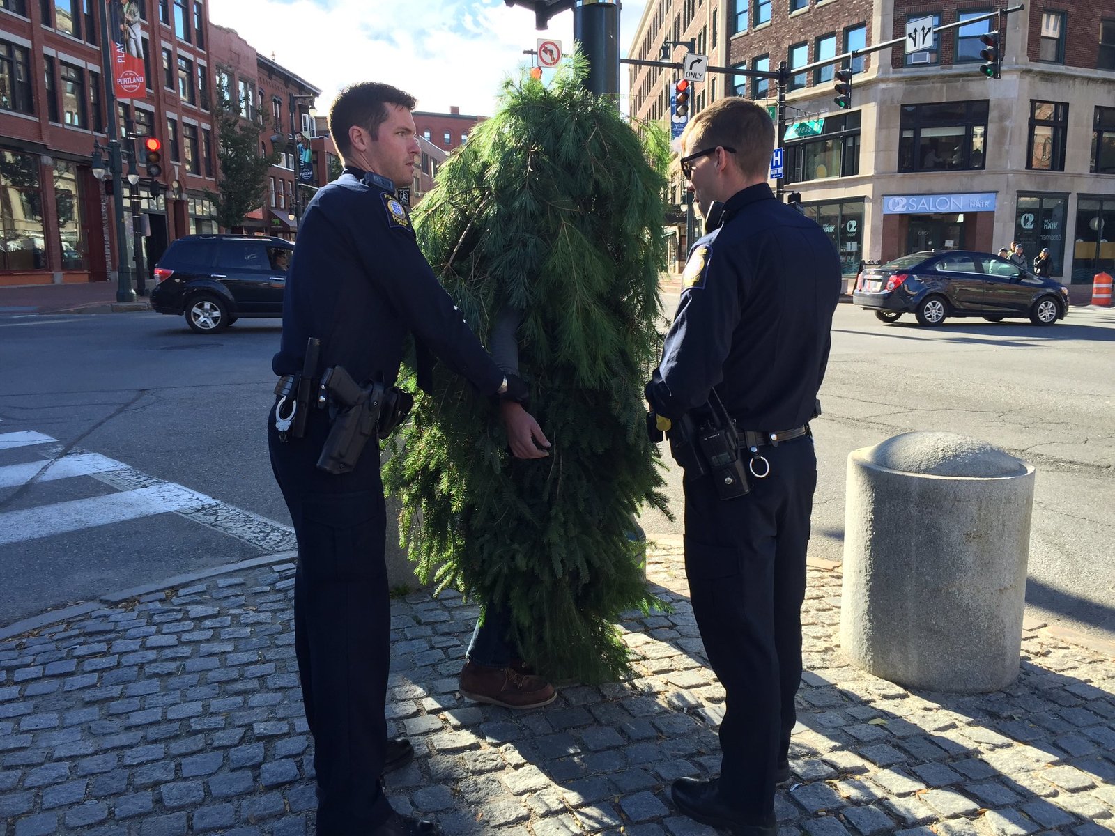 Tree man arrested in USA - USA, , Video, Longpost