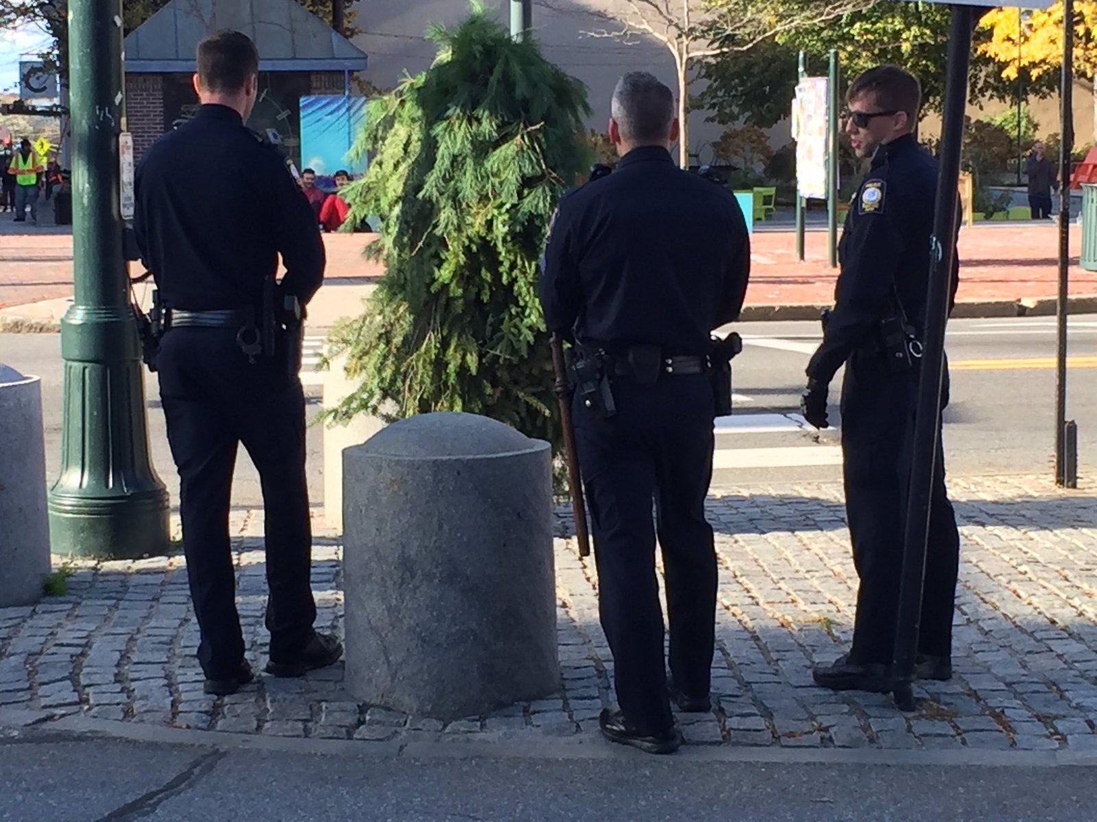 Tree man arrested in USA - USA, , Video, Longpost