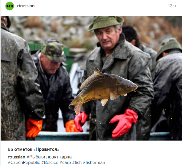 Fishermen catch carp - Fishermen, A fish, Instagram, Images