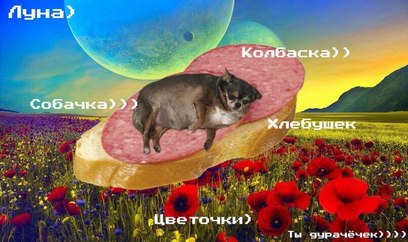 Ня Cccс: | Пикабу