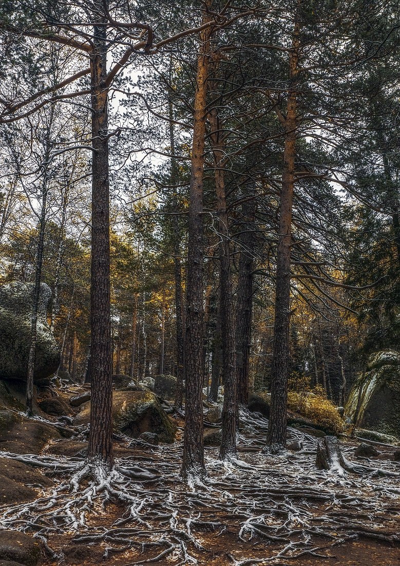 Заповедник Столбы - Заповедник Столбы, Красноярск, Россия, Фото, Природа, Осень, Пейзаж, Надо съездить, Длиннопост