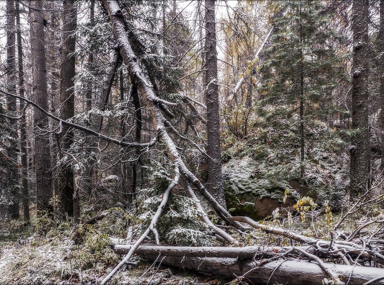 Pillars reserve - Pillars reserve, Krasnoyarsk, Russia, Photo, Nature, Autumn, Landscape, Gotta go, Longpost