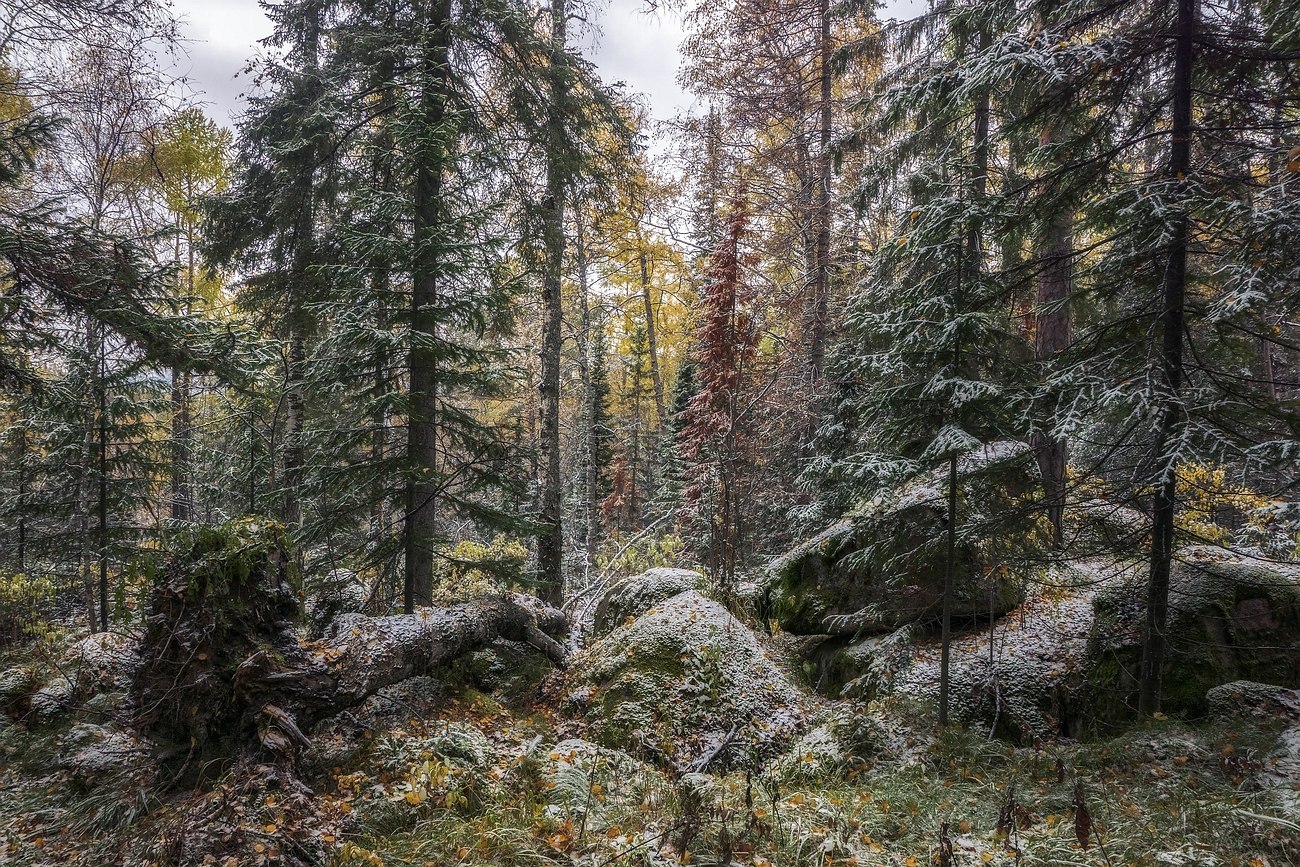 Pillars reserve - Pillars reserve, Krasnoyarsk, Russia, Photo, Nature, Autumn, Landscape, Gotta go, Longpost