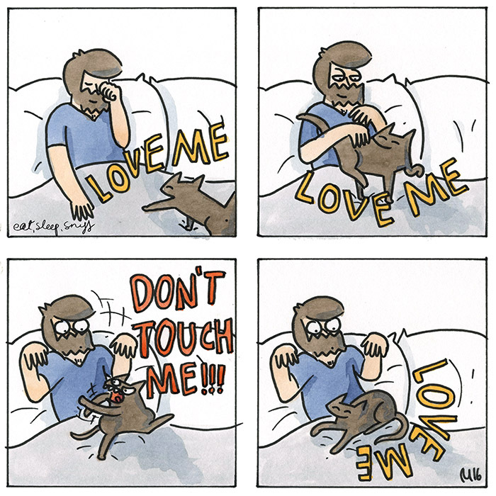 Love me - Comics, cat, Affectionate