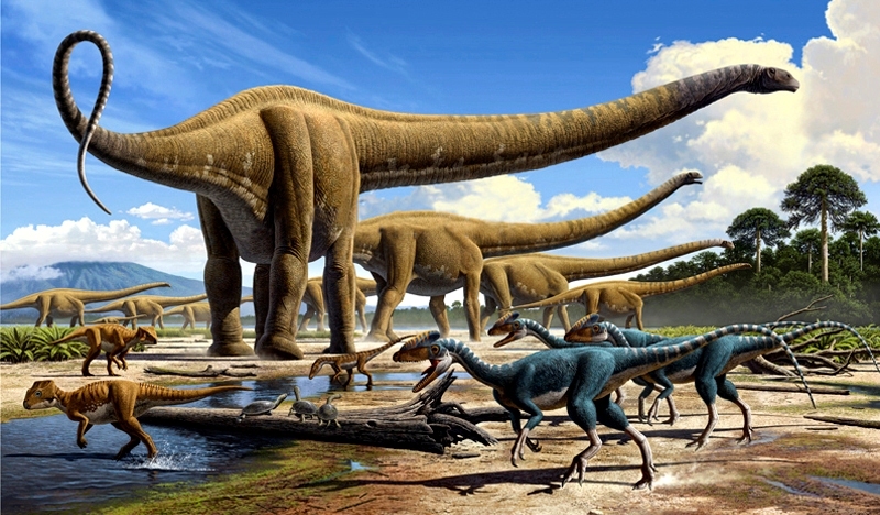 The appearance of dinosaurs. - My, Dinosaurs, Paleontology, Sauropods, Giants, The size, Longpost