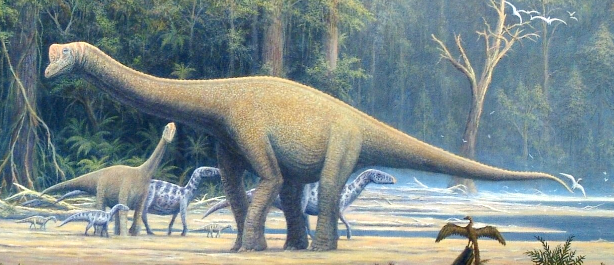 The appearance of dinosaurs. - My, Dinosaurs, Paleontology, Sauropods, Giants, The size, Longpost