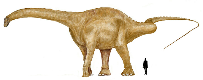 The appearance of dinosaurs. - My, Dinosaurs, Paleontology, Sauropods, Giants, The size, Longpost