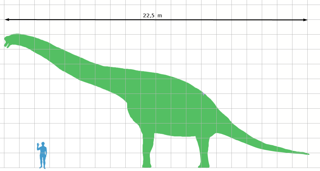 The appearance of dinosaurs. - My, Dinosaurs, Paleontology, Sauropods, Giants, The size, Longpost