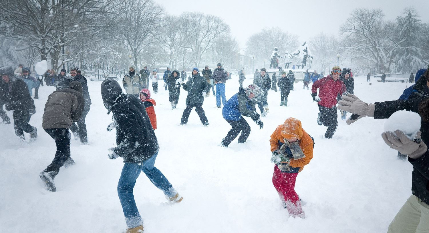 How to meet winter? - Snow, Winter, Dig