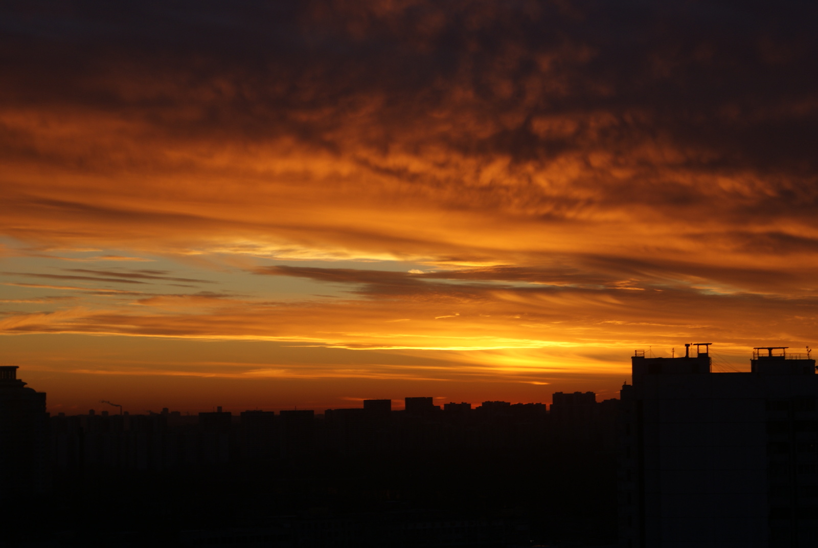 Ryzhik - My, dawn, Photo, Moscow