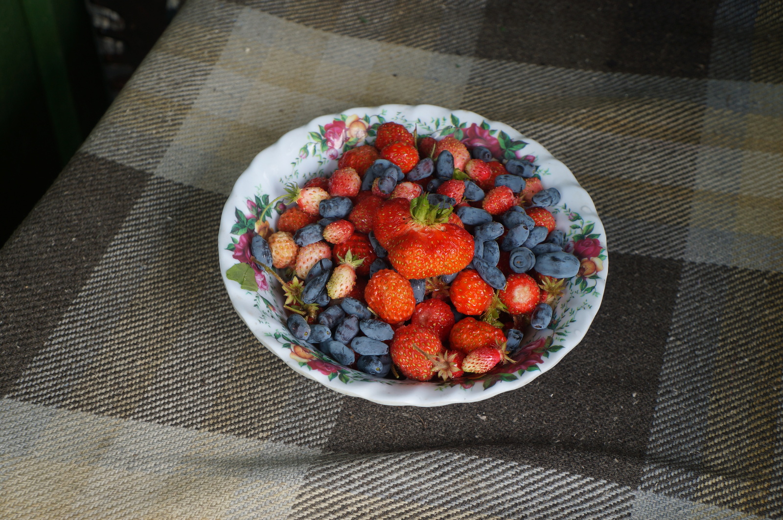 Brace yourself people, summer is coming! - Berries, Slyudyanka, Burovshchina, Summer, Baikal, Siberia, Honeysuckle, Strawberry, Strawberry (plant)