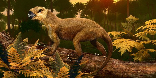 Древесный образ жизни - Моё, Ssynapsid, Палеонтология, Лига биологов, Суминия, Синапсиды, Дрепанозавр, Длиннопост