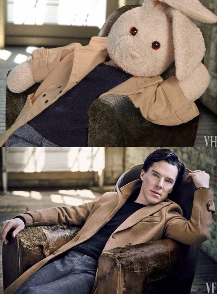 Plush parody of Cumberbatch's photo shoot is the best thing you'll see today - Benedict Cumberbatch, PHOTOSESSION, Sherlock Holmes, Longpost