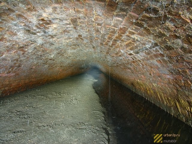 Hidden beauty of St. Petersburg - Saint Petersburg, cat, Channel, , Digger, Longpost, Story, New Holland (island)